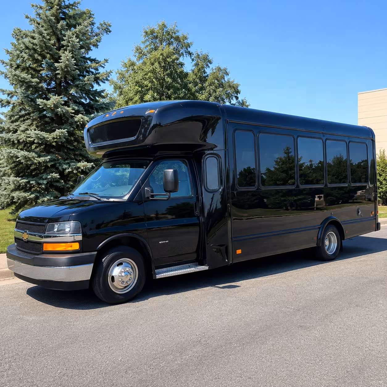 hit every photo stop in your dallas party bus before the dance